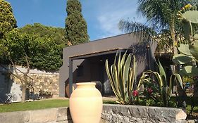 Avocado B&B Beyond